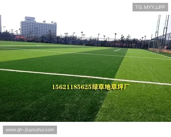 足球场草皮每平方米价格解析及影响因素详细分析
